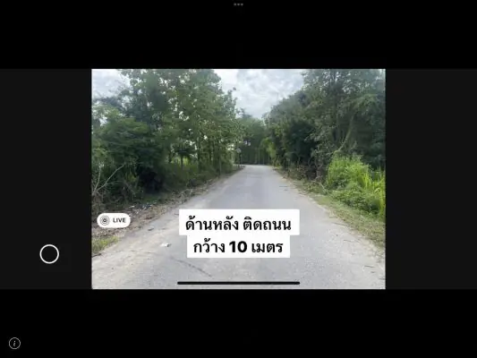 Show all media