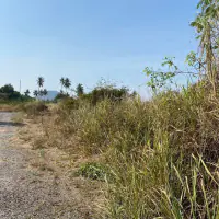 Land For Sale At Najomtien thumbnail