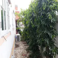 House for Rent at Baan Fah Rimhaad thumbnail