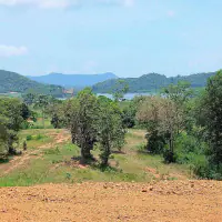 𝙋𝙧𝙞𝙢𝙚 𝙑𝙞𝙚𝙬 𝙇𝙖𝙣𝙙 – 𝙎𝙞𝙡𝙫𝙚𝙧𝙡𝙖𝙠𝙚 (𝙐𝙧𝙜𝙚𝙣𝙩 𝙎𝙖𝙡𝙚) thumbnail