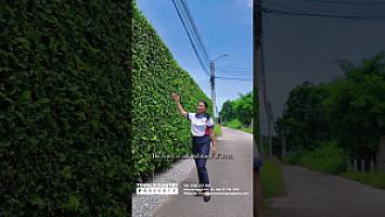 🏡 No Stairs, No Stress – Private Pool Villa in Huay Yai 🌿 | 3 Bed, 2 Bath | 800 SQ.M. Land