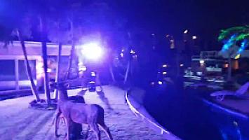 JYC III - Extravagant Pool-Party in the privacy of your own backyard