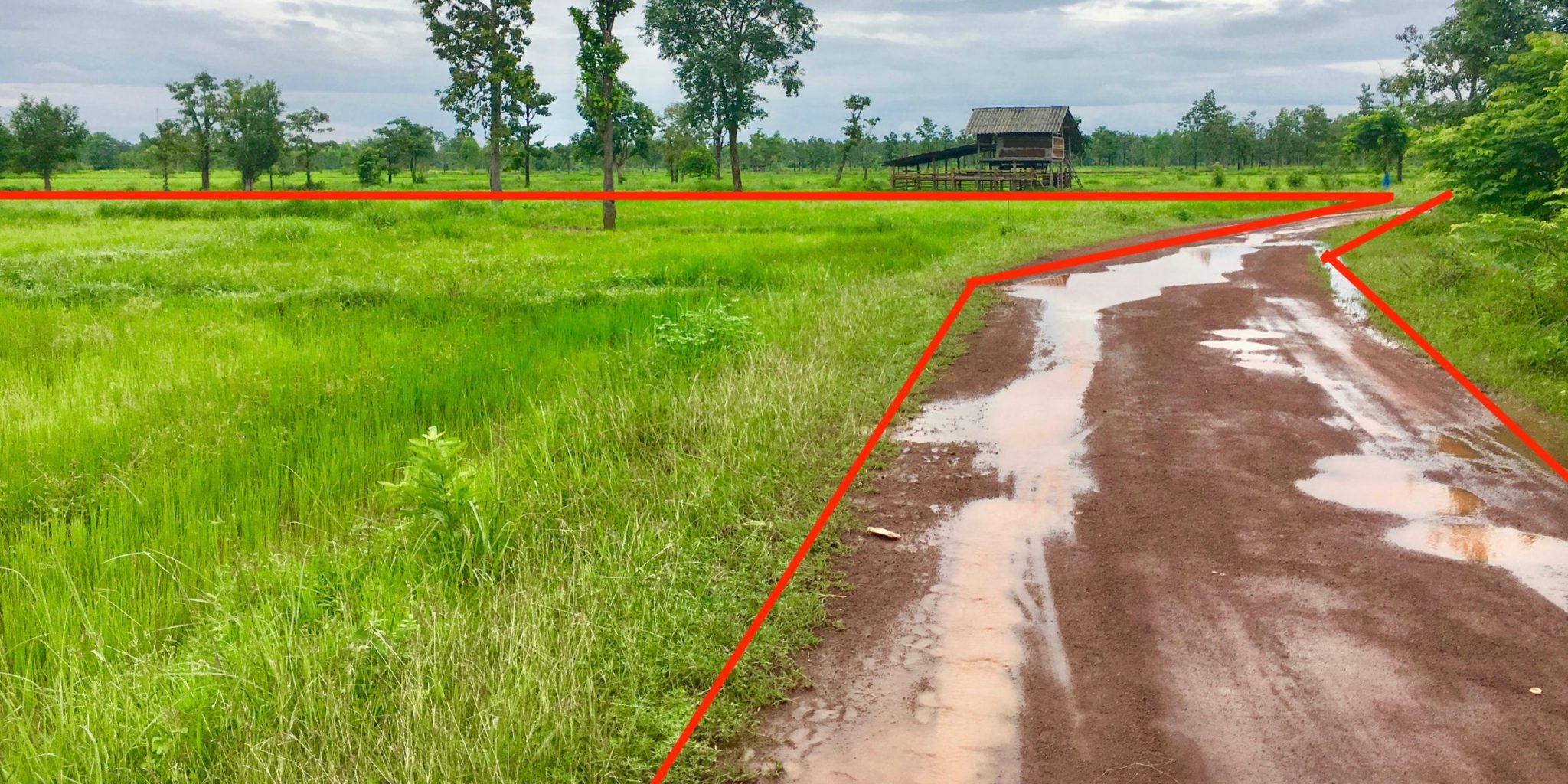 Can a foreigner buy land in Thailand?